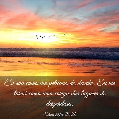 Picture 03 - Salmos 102:6 BSL - Eu sou como um pelicano do deserto. Eu me tornei - Bible Verse Picture