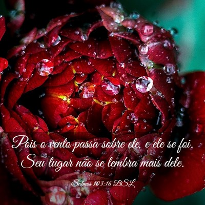 Picture 03 - Salmos 103:16 BSL - Pois o vento passa sobre ele, e ele se foi. Seu - Bible Verse Picture