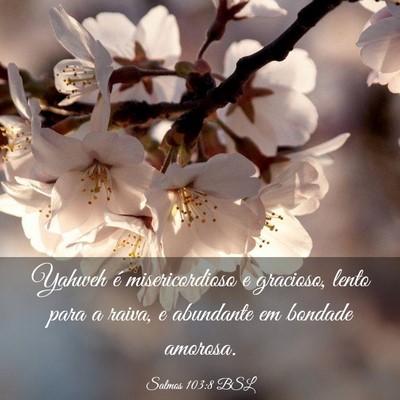 Picture 03 - Salmos 103:8 BSL - Yahweh é misericordioso e gracioso, lento para a - Bible Verse Picture