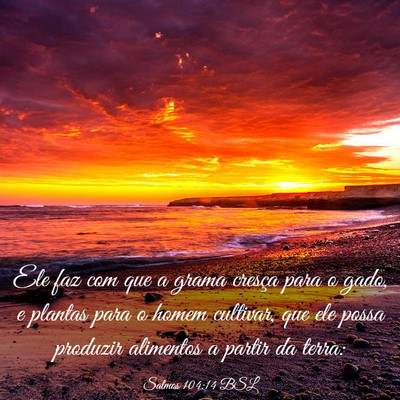 Picture 03 - Salmos 104:14 BSL - Ele faz com que a grama cresça para o gado, e - Bible Verse Picture