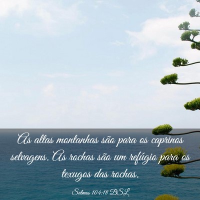 Picture 03 - Salmos 104:18 BSL - As altas montanhas são para os caprinos - Bible Verse Picture