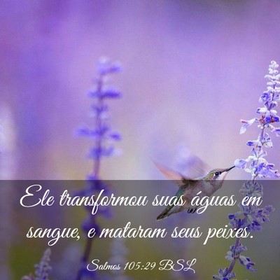 Picture 03 - Salmos 105:29 BSL - Ele transformou suas águas em sangue, e mataram - Bible Verse Picture