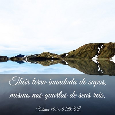 Picture 03 - Salmos 105:30 BSL - Their terra inundada de sapos, mesmo nos quartos - Bible Verse Picture
