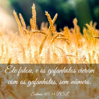 Picture 03 - Salmos 105:34 BSL - Ele falou, e os gafanhotos vieram com os - Bible Verse Picture