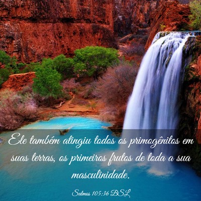 Picture 03 - Salmos 105:36 BSL - Ele também atingiu todos os primogênitos em - Bible Verse Picture