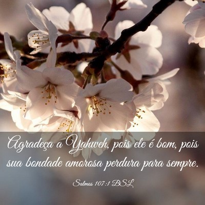 Picture 03 - Salmos 107:1 BSL - Agradeça a Yahweh, pois ele é bom, pois sua - Bible Verse Picture