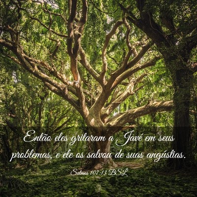 Picture 03 - Salmos 107:13 BSL - Então eles gritaram a Javé em seus problemas, e - Bible Verse Picture