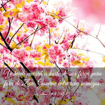 Picture 03 - Salmos 110:2 BSL - Yahweh enviará a haste de sua força para fora - Bible Verse Picture