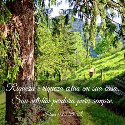 Picture 03 - Salmos 112:3 BSL - Riqueza e riqueza estão em sua casa. Sua - Bible Verse Picture