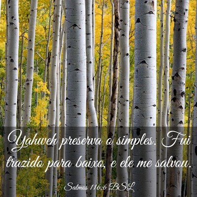Picture 03 - Salmos 116:6 BSL - Yahweh preserva o simples. Fui trazido para - Bible Verse Picture