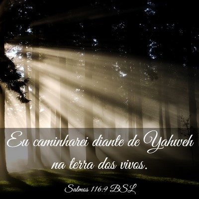 Picture 03 - Salmos 116:9 BSL - Eu caminharei diante de Yahweh na terra dos - Bible Verse Picture