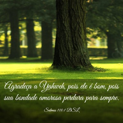 Picture 03 - Salmos 118:1 BSL - Agradeça a Yahweh, pois ele é bom, pois sua - Bible Verse Picture