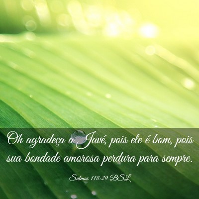 Picture 03 - Salmos 118:29 BSL - Oh agradeça a Javé, pois ele é bom, pois sua - Bible Verse Picture