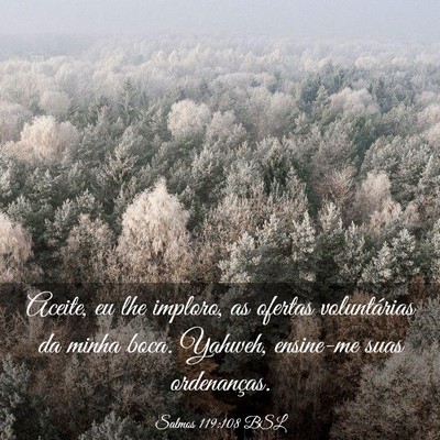 Picture 03 - Salmos 119:108 BSL - Aceite, eu lhe imploro, as ofertas voluntárias - Bible Verse Picture