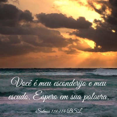 Picture 03 - Salmos 119:114 BSL - Você é meu esconderijo e meu escudo. Espero em - Bible Verse Picture
