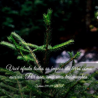 Picture 03 - Salmos 119:119 BSL - Você afasta todos os ímpios da terra como - Bible Verse Picture