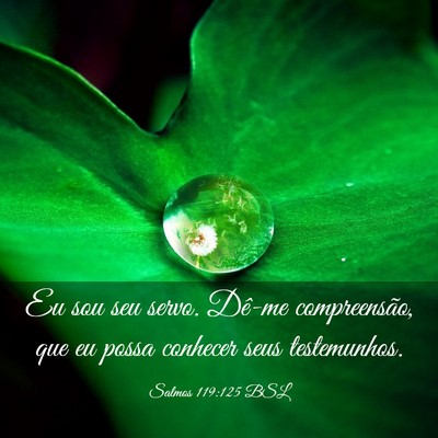 Picture 03 - Salmos 119:125 BSL - Eu sou seu servo. Dê-me compreensão, que eu - Bible Verse Picture
