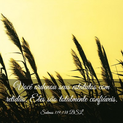 Picture 03 - Salmos 119:138 BSL - Você ordenou seus estatutos com retidão. Eles - Bible Verse Picture