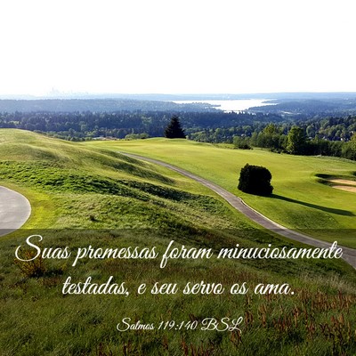 Picture 03 - Salmos 119:140 BSL - Suas promessas foram minuciosamente testadas, e - Bible Verse Picture