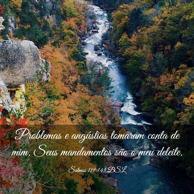 Picture 03 - Salmos 119:143 BSL - Problemas e angústias tomaram conta de mim. Seus - Bible Verse Picture