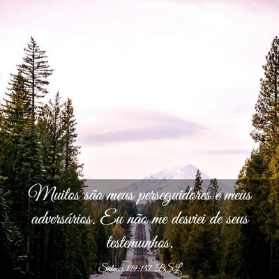 Picture 03 - Salmos 119:157 BSL - Muitos são meus perseguidores e meus - Bible Verse Picture