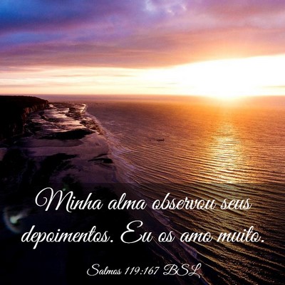 Picture 03 - Salmos 119:167 BSL - Minha alma observou seus depoimentos. Eu os amo - Bible Verse Picture