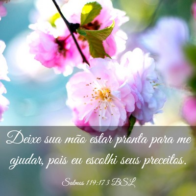 Picture 03 - Salmos 119:173 BSL - Deixe sua mão estar pronta para me ajudar, pois - Bible Verse Picture