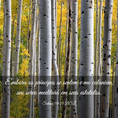 Picture 03 - Salmos 119:23 BSL - Embora os príncipes se sentem e me caluniem, seu - Bible Verse Picture