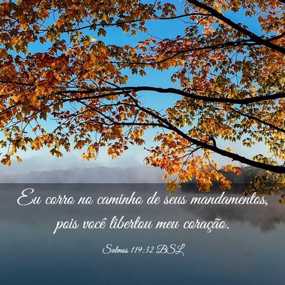 Picture 03 - Salmos 119:32 BSL - Eu corro no caminho de seus mandamentos, pois - Bible Verse Picture