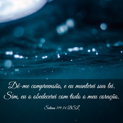 Picture 03 - Salmos 119:34 BSL - Dê-me compreensão, e eu manterei sua lei. Sim, - Bible Verse Picture