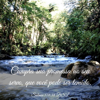 Picture 03 - Salmos 119:38 BSL - Cumpra sua promessa ao seu servo, que você pode - Bible Verse Picture