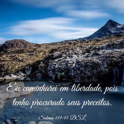 Picture 03 - Salmos 119:45 BSL - Eu caminharei em liberdade, pois tenho procurado - Bible Verse Picture