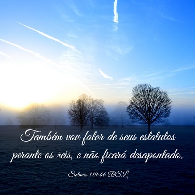 Picture 03 - Salmos 119:46 BSL - Também vou falar de seus estatutos perante os - Bible Verse Picture
