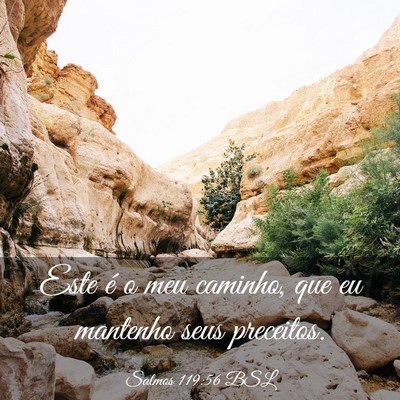 Picture 03 - Salmos 119:56 BSL - Este é o meu caminho, que eu mantenho seus - Bible Verse Picture