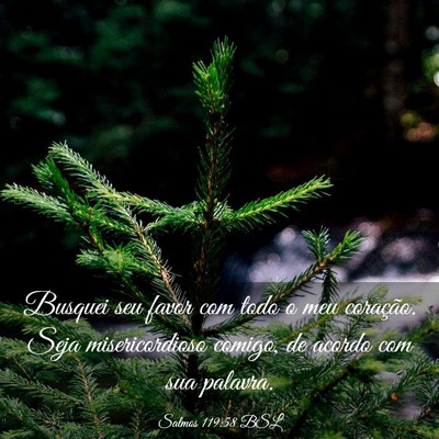 Picture 03 - Salmos 119:58 BSL - Busquei seu favor com todo o meu coração. Seja - Bible Verse Picture