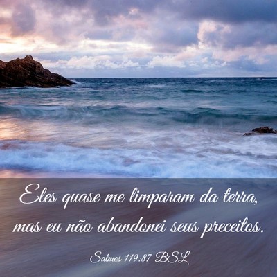 Picture 03 - Salmos 119:87 BSL - Eles quase me limparam da terra, mas eu não - Bible Verse Picture