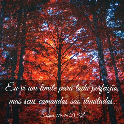 Picture 03 - Salmos 119:96 BSL - Eu vi um limite para toda perfeição, mas seus - Bible Verse Picture