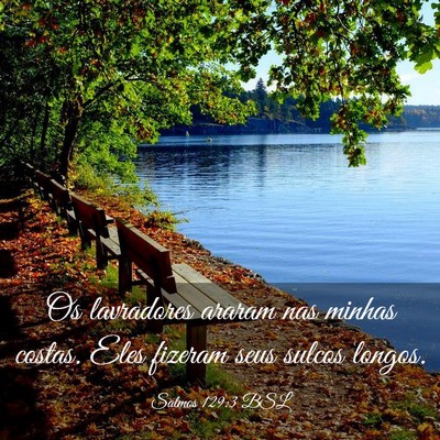 Picture 03 - Salmos 129:3 BSL - Os lavradores araram nas minhas costas. Eles - Bible Verse Picture