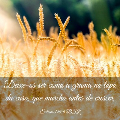 Picture 03 - Salmos 129:6 BSL - Deixe-os ser como a grama no topo da casa, que - Bible Verse Picture