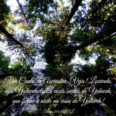 Picture 03 - Salmos 134:1 BSL - Um Canto de Ascensões. Veja! Louvado seja - Bible Verse Picture
