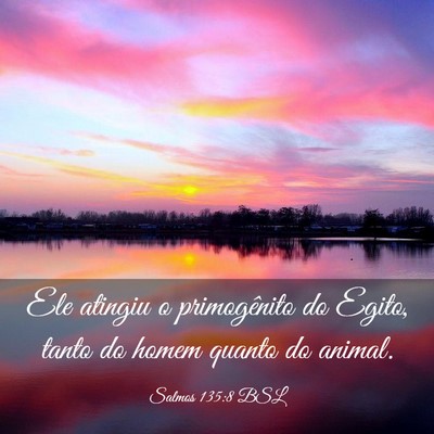 Picture 03 - Salmos 135:8 BSL - Ele atingiu o primogênito do Egito, tanto do - Bible Verse Picture