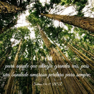 Picture 03 - Salmos 136:17 BSL - para aquele que atingiu grandes reis, pois sua - Bible Verse Picture