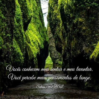 Picture 03 - Salmos 139:2 BSL - Vocês conhecem meu sentar e meu levantar. Você - Bible Verse Picture