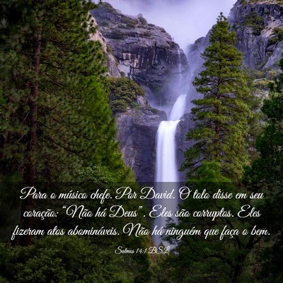 Picture 03 - Salmos 14:1 BSL - Para o músico chefe. Por David. O tolo disse em - Bible Verse Picture