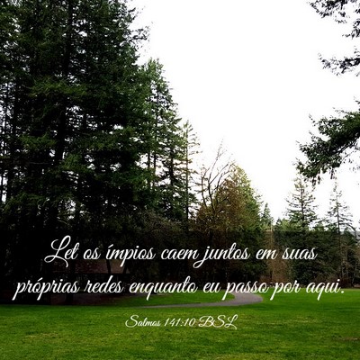 Picture 03 - Salmos 141:10 BSL - Let os ímpios caem juntos em suas próprias - Bible Verse Picture