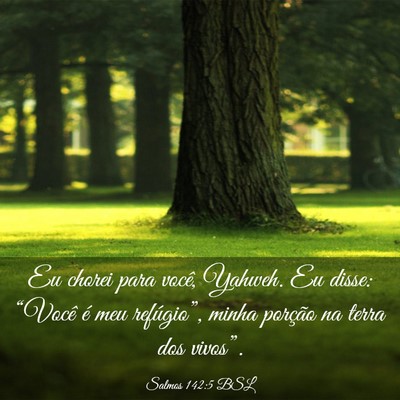 Picture 03 - Salmos 142:5 BSL - Eu chorei para você, Yahweh. Eu disse: “Você - Bible Verse Picture