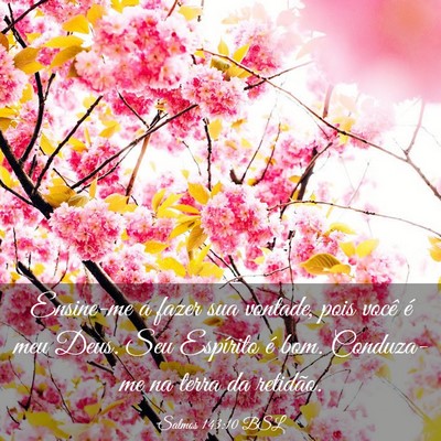 Picture 03 - Salmos 143:10 BSL - Ensine-me a fazer sua vontade, pois você é meu - Bible Verse Picture
