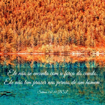 Picture 03 - Salmos 147:10 BSL - Ele não se encanta com a força do cavalo. Ele - Bible Verse Picture