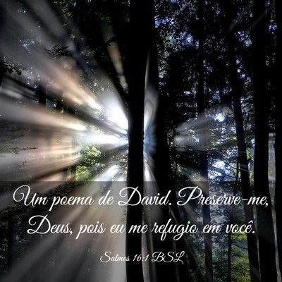 Picture 03 - Salmos 16:1 BSL - Um poema de David. Preserve-me, Deus, pois eu me - Bible Verse Picture