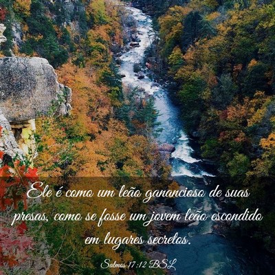 Picture 03 - Salmos 17:12 BSL - Ele é como um leão ganancioso de suas presas, - Bible Verse Picture